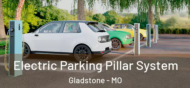 Electric Parking Pillar System Gladstone - MO