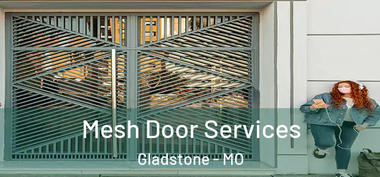 Mesh Door Services Gladstone - MO
