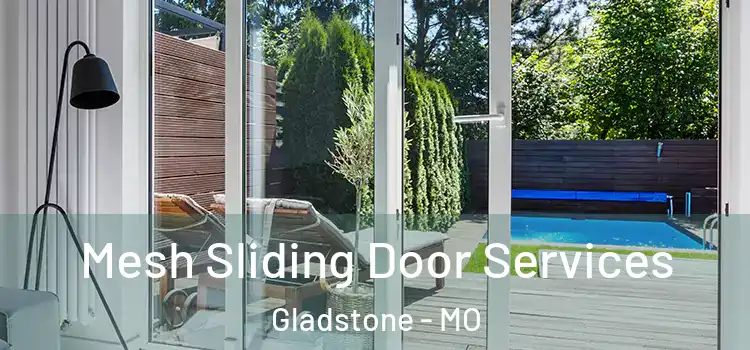 Mesh Sliding Door Services Gladstone - MO